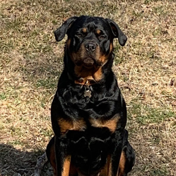 rottimom12